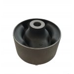 Arm Bushing For MITSUBISHI MR519127,MR554733,4120A001,4120A012